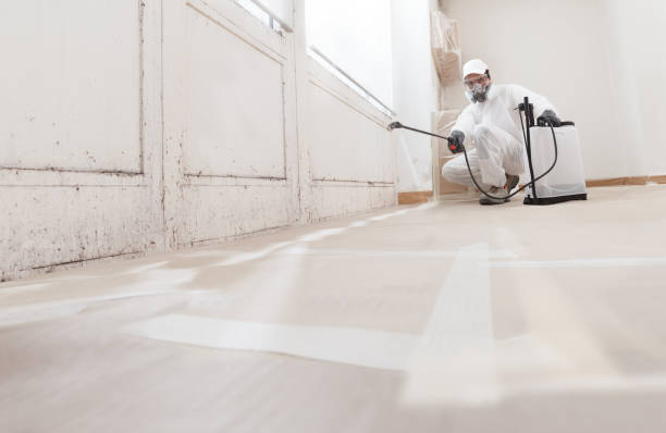 24/7 Emergency Mold Remediation experts in Auburndale, FL